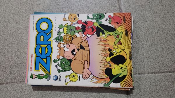 RECRUTA ZERO GLOBO NR 31