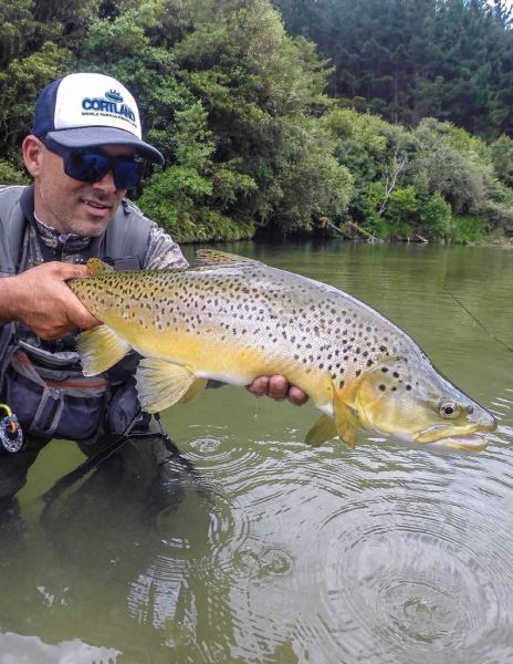 CLD - MODERN TROUT Floating