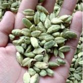 GREEN CARDAMOM