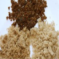 REFINED ICUMSA 600-1200 SUGAR BEST QUALITY