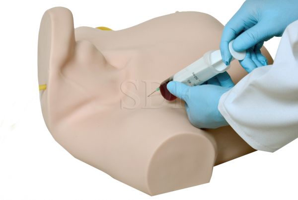 Simulador de Acesso Venoso Central-CS/SD - 4043