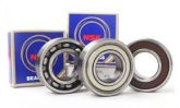 6203-2RS ROLAMENTO HONDA BIZ 100	-	Roda - Roda traseira	Cubo de roda	Esquerdo