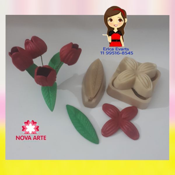 Tulipa P e mini samambaia P