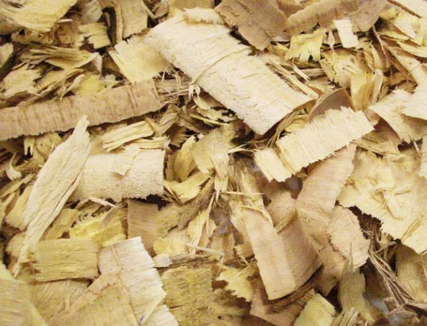 Pau Tenente 100g