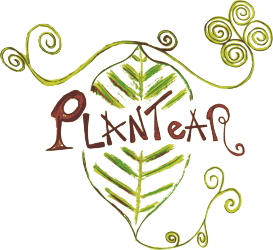Plantear