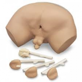 Simulador para Exame de Próstata-CS/SK-LF 00901U