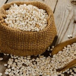 BARLEY