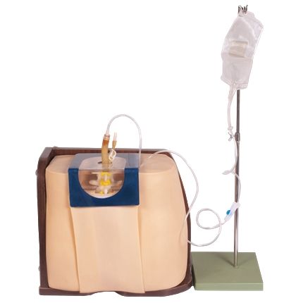 Simulador P/ Treino de Punção e Infusão Lombar-CS/AT/TGD/4009-P