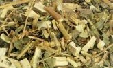 Arnica 100g