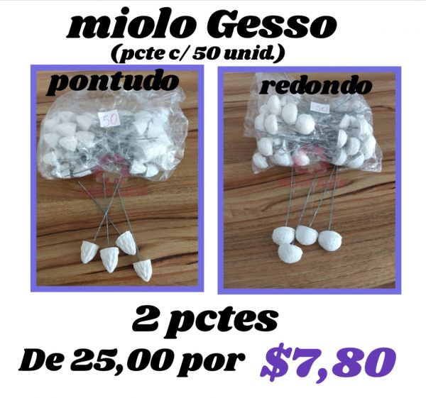 Gesso miolo