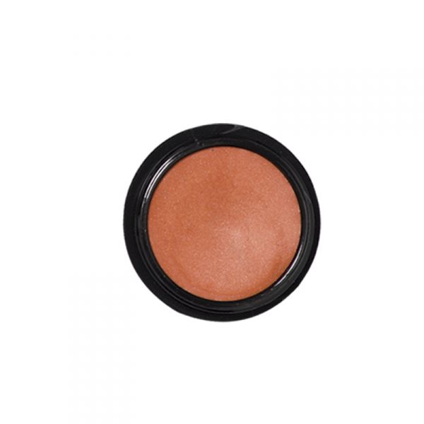 8761SHINE COLOURS - BLUSH EM CREME CORAL
