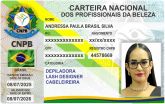 ANDRESSA PAULA BRASIL SILVA