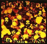 siena root - far from the sun lp - colorido