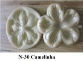 Camelinha(n-30)