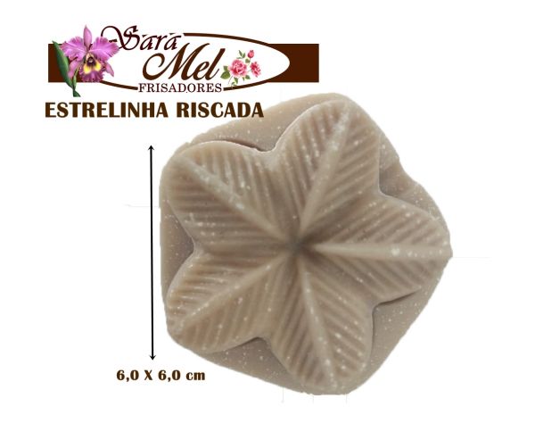 VERBANA RISCADA estrelinha