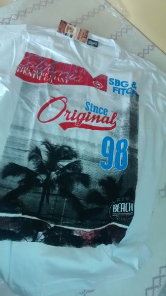 Camisa Gola V