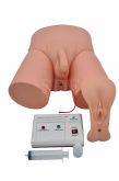 Simulador de Cateterização Vesical Bissexual Adulto c/ Dispositivo Eletrônico-CS/SD-4004