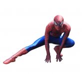 Homem Aranha RV 3020