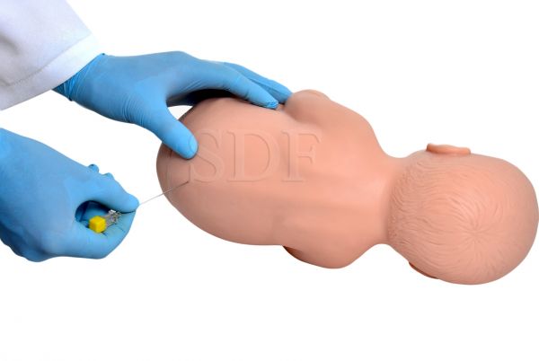 Simulador Avançado Pediátrico P/ Punção Lombar-CS/SD-4046/B