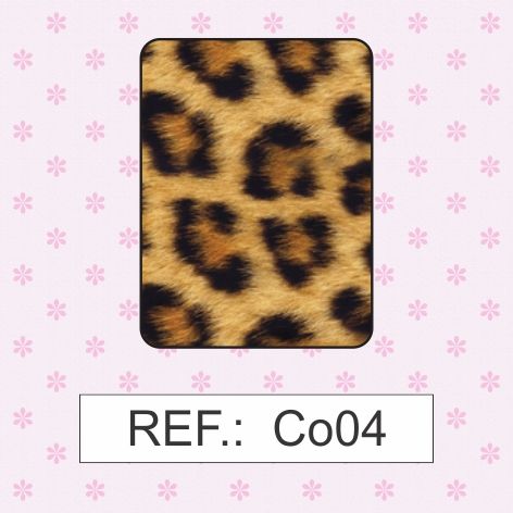 Co04