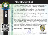 LILIAN APARECIDA NOVAES DE ARAÚJO