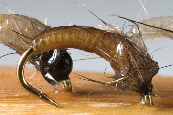 CG - CATGUT BIOTHREAD (Brown)