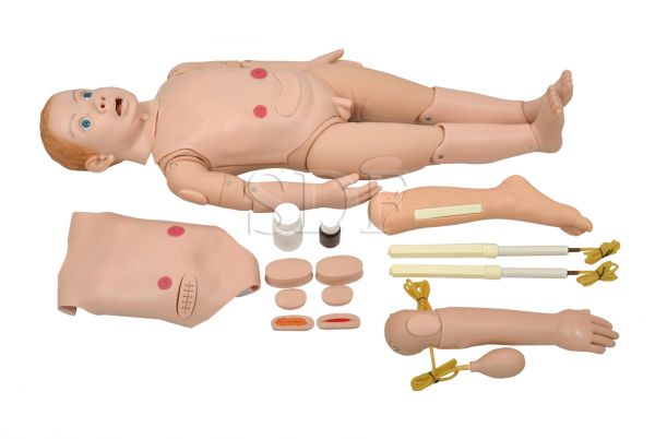 Manequim Bissexual Infantil de 3 a 5 Anos com Órgãos Internos-CS/SD-4000/INF