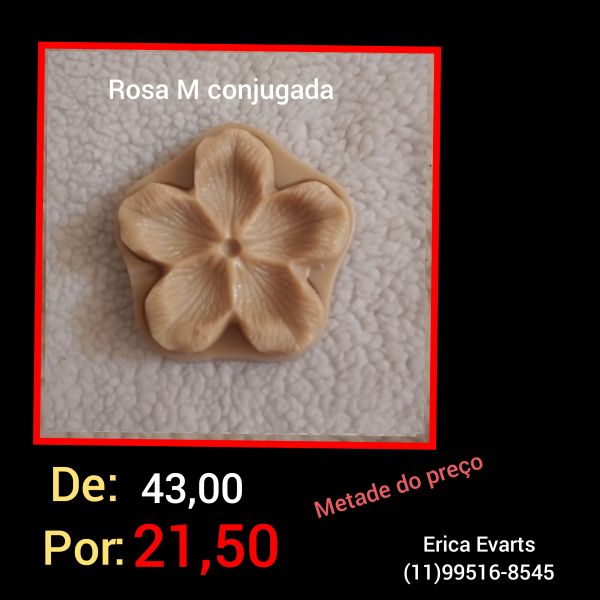 Rosa M conj