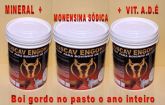 NÚCLEO PARA ENGORDA DE BOVINOS PHOSCAV ENGORDA