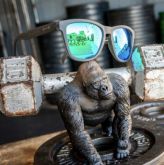Óculos de Sol Goodr - Running - Silverback Squat Mobility