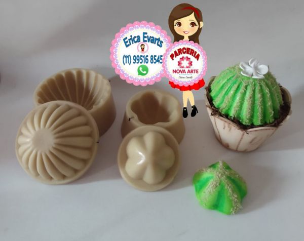 Cacto bola e cacto bolinha