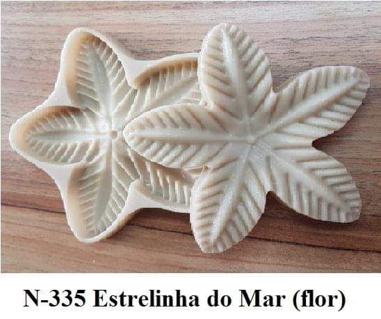 Estrelinha do mar(n-335)