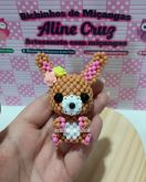 VIDEO AULA COELHINHA