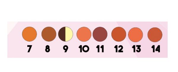 Blush Matte Mori Makeup