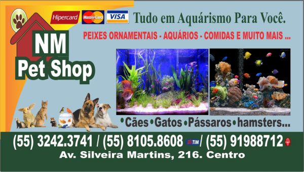 1000 Cartões de Visita 4x0