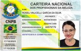 ROSELI VALICELLI GARCIA DA SILVA