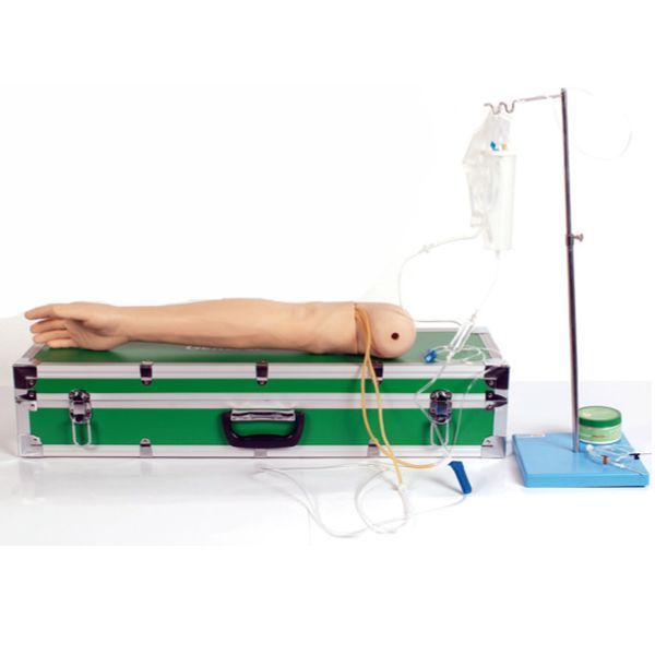 Braço P/ Treino de Injeção em Músculo Deltoide e Veias CS/AT/TZJ 0501-A
