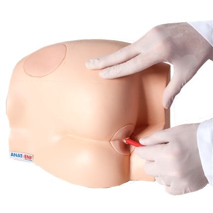 Simulador P/Sonda Retal e Injeção Intramuscular-CS/AT/TGD-4009
