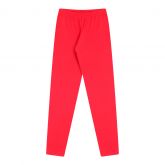 Calça Legging Bicho Bagunça