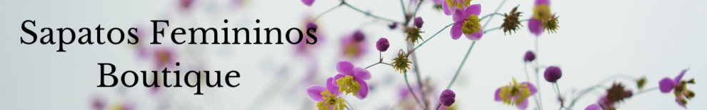 Sapatos Femininos Boutique