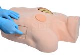 Simulador de Drenagem Torácica-CS/SD-4045