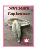 Suculenta Espinhosa (n-434)