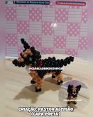 VIDEO AULA PASTOR ALEMÃO