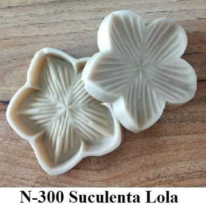 Suculenta Lola (n-300)