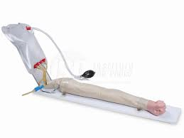 Braço P/ Injeção Intravenosa I.V.-CS/SK -0010