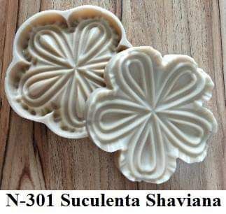 Suculenta Shaviana  (n-301)