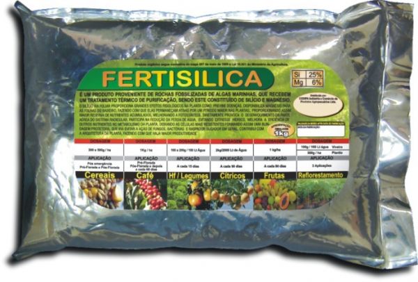 Silicio