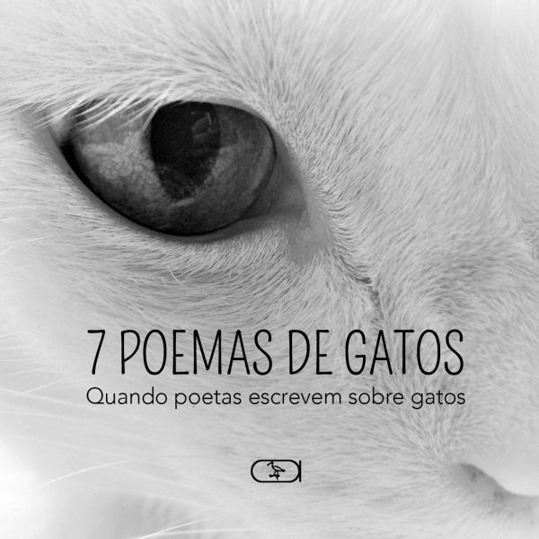 7 Poemas de gatos
