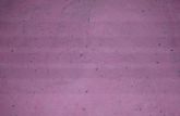 POLPA DESIDRATADA DE MORANGO - 500 gramas