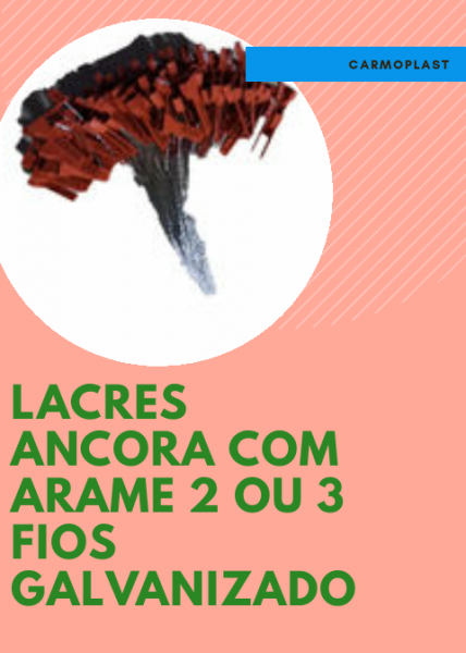 100 LACRE MODELO ANCORA COM ARAME TORCIDO DE 2 FIOS DE 95 CMT